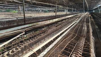 Captured at Damjonovic and Sons - Cage Eggs, Eastern Creek NSW Australia.