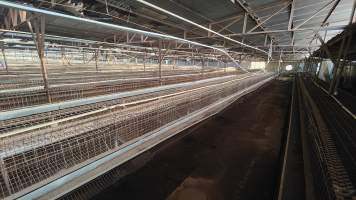 Captured at Damjonovic and Sons - Cage Eggs, Eastern Creek NSW Australia.