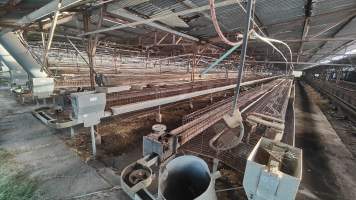 Captured at Damjonovic and Sons - Cage Eggs, Eastern Creek NSW Australia.