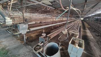 Captured at Damjonovic and Sons - Cage Eggs, Eastern Creek NSW Australia.
