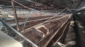 Captured at Damjonovic and Sons - Cage Eggs, Eastern Creek NSW Australia.