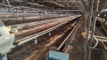Captured at Damjonovic and Sons - Cage Eggs, Eastern Creek NSW Australia.
