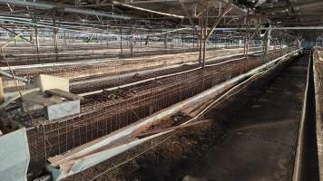 Captured at Damjonovic and Sons - Cage Eggs, Eastern Creek NSW Australia.