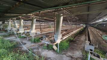 Captured at Damjonovic and Sons - Cage Eggs, Eastern Creek NSW Australia.