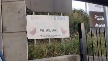 Captured at Damjonovic and Sons - Cage Eggs, Eastern Creek NSW Australia.