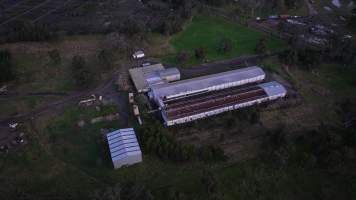 Captured at Ash & Sons, Kemps Creek NSW Australia.
