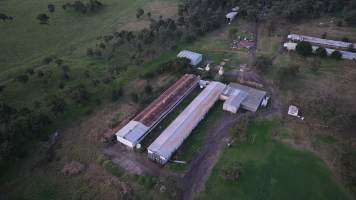 Captured at Ash & Sons, Kemps Creek NSW Australia.