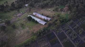 Captured at Ash & Sons, Kemps Creek NSW Australia.