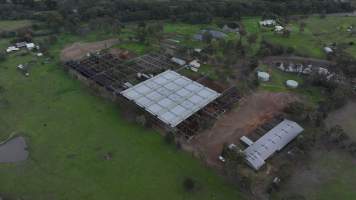 Captured at Hunter Regional Livestock Exchange (HRLX), Clydesdale NSW Australia.