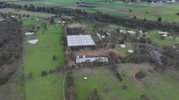 Captured at Hunter Regional Livestock Exchange (HRLX), Clydesdale NSW Australia.