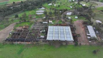 Captured at Hunter Regional Livestock Exchange (HRLX), Clydesdale NSW Australia.