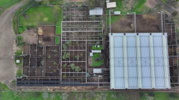 Captured at Hunter Regional Livestock Exchange (HRLX), Clydesdale NSW Australia.