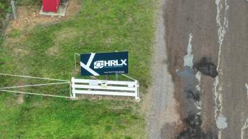 Captured at Hunter Regional Livestock Exchange (HRLX), Clydesdale NSW Australia.