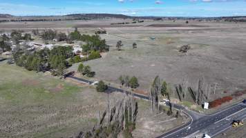Captured at CSIRO - Chiswick Research Station, Uralla NSW Australia.