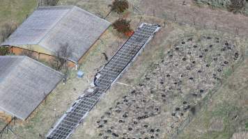 Captured at CSIRO - Chiswick Research Station, Uralla NSW Australia.