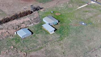 Captured at CSIRO - Chiswick Research Station, Uralla NSW Australia.