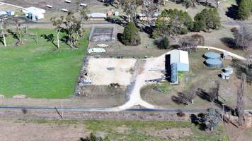 Captured at CSIRO - Chiswick Research Station, Uralla NSW Australia.