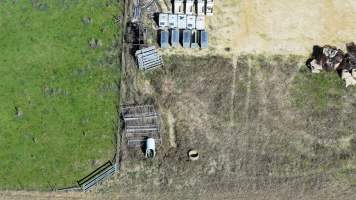 Captured at CSIRO - Chiswick Research Station, Uralla NSW Australia.