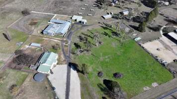 Captured at CSIRO - Chiswick Research Station, Uralla NSW Australia.