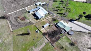 Captured at CSIRO - Chiswick Research Station, Uralla NSW Australia.