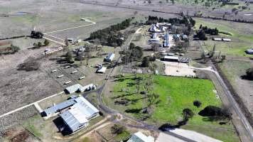 Captured at CSIRO - Chiswick Research Station, Uralla NSW Australia.