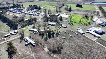 Captured at CSIRO - Chiswick Research Station, Uralla NSW Australia.