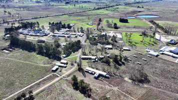 Captured at CSIRO - Chiswick Research Station, Uralla NSW Australia.