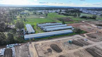 Captured at Parkridge Farm, Leppington NSW Australia.