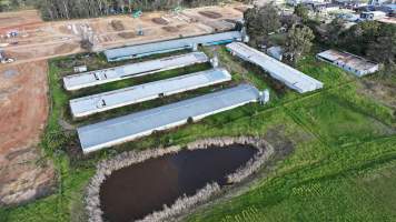 Captured at Parkridge Farm, Leppington NSW Australia.