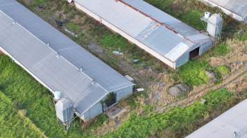 Captured at Parkridge Farm, Leppington NSW Australia.