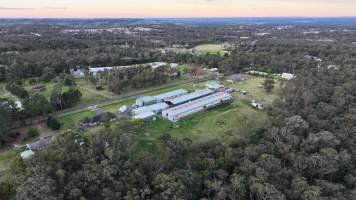 Captured at Egg Farm, Thirlmere NSW Australia.