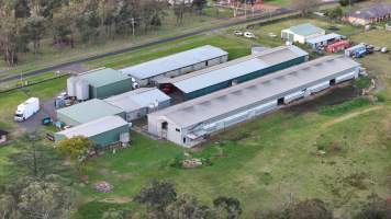 Captured at Egg Farm, Thirlmere NSW Australia.
