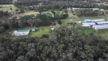 Captured at Egg Farm, Thirlmere NSW Australia.