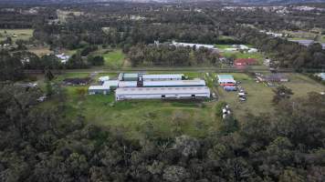 Captured at Egg Farm, Thirlmere NSW Australia.