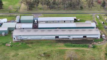 Captured at Egg Farm, Thirlmere NSW Australia.