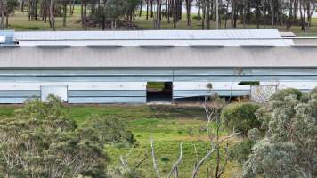 Captured at Egg Farm, Thirlmere NSW Australia.