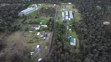 Captured at Egg Farm, Thirlmere NSW Australia.