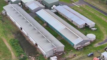 Captured at Egg Farm, Thirlmere NSW Australia.