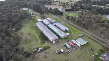 Captured at Egg Farm, Thirlmere NSW Australia.