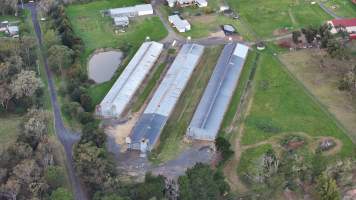 Captured at Thirlmere Broiler Farm, Thirlmere NSW Australia.