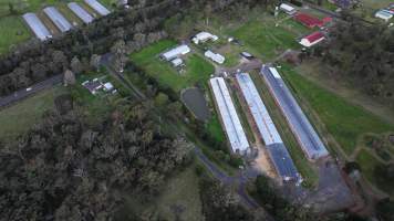 Captured at Thirlmere Broiler Farm, Thirlmere NSW Australia.