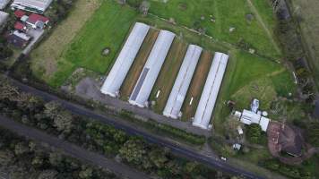 Captured at Ingham Turkey Farm, Thirlmere NSW Australia.