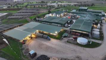 Captured at Thomas Foods International - Tamworth Abattoir, Westdale NSW Australia.