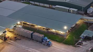 Captured at Thomas Foods International - Tamworth Abattoir, Westdale NSW Australia.
