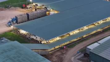 Captured at Thomas Foods International - Tamworth Abattoir, Westdale NSW Australia.