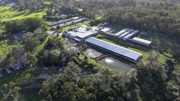 Captured at Game Farm P/L, Galston NSW Australia.
