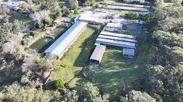 Captured at Game Farm P/L, Galston NSW Australia.