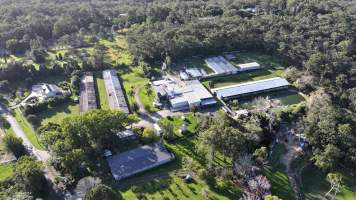 Captured at Game Farm P/L, Galston NSW Australia.