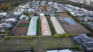 Captured at Kellyville Farm Fresh, North Kellyville NSW Australia.