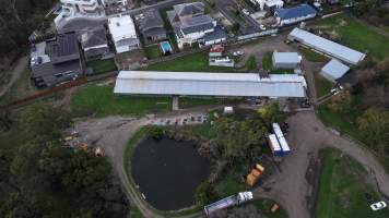 Captured at Summerland Poultry, North Kellyville NSW Australia.